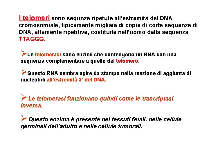 I telomeri sono sequnze ripetute all’estremità del DNA cromosomiale, tipicamente migliaia di copie di