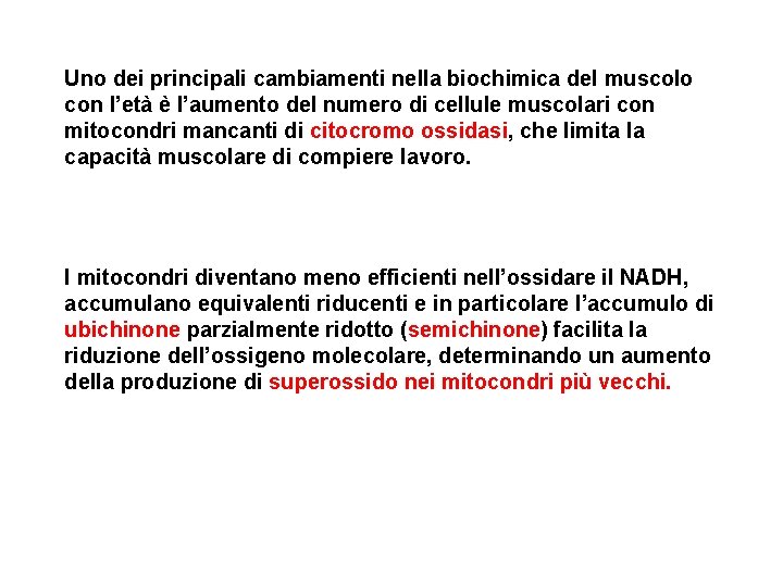 Uno dei principali cambiamenti nella biochimica del muscolo con l’età è l’aumento del numero