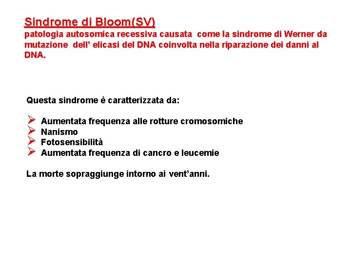 Sindrome di Bloom(SV) patologia autosomica recessiva causata come la sindrome di Werner da mutazione