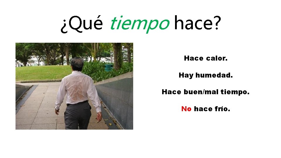 ¿Qué tiempo hace? Hace calor. Hay humedad. Hace buen/mal tiempo. No hace frío. 