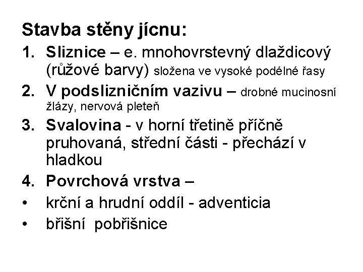 Stavba stěny jícnu: 1. Sliznice – e. mnohovrstevný dlaždicový (růžové barvy) složena ve vysoké