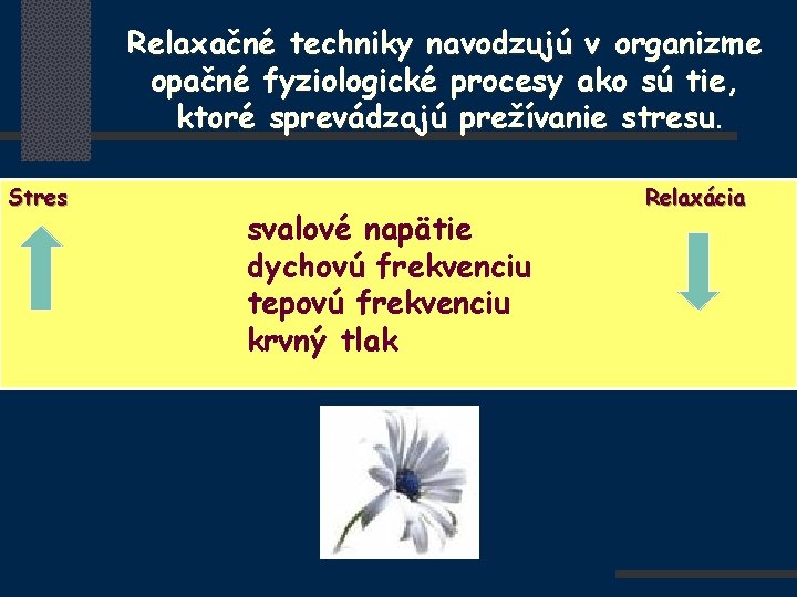 Relaxačné techniky navodzujú v organizme opačné fyziologické procesy ako sú tie, ktoré sprevádzajú prežívanie
