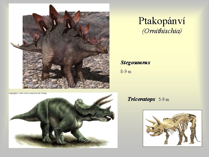 Ptakopánví (Ornithischia) Stegosaurus 8 -9 m Triceratops 5 -9 m Ptakopánví (Ornithischia) Stegosaurus 8 -9 m Triceratops 5 -9 m
