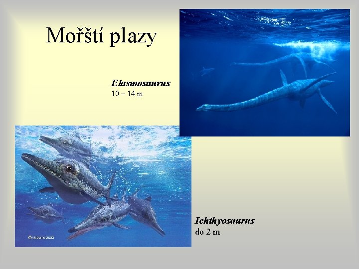 Mořští plazy Elasmosaurus 10 – 14 m Ichthyosaurus do 2 m Mořští plazy Elasmosaurus 10 – 14 m Ichthyosaurus do 2 m