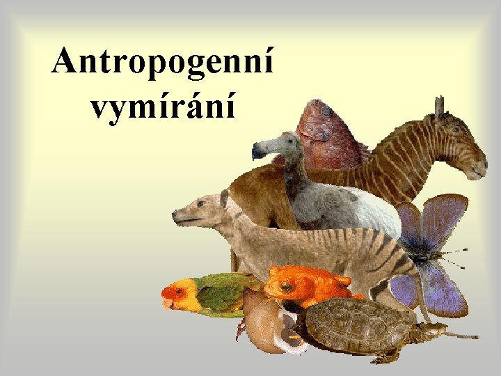 Antropogenní vymírání Antropogenní vymírání