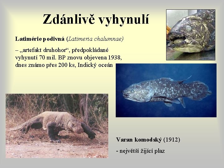 Zdánlivě vyhynulí Latimérie podivná (Latimeria chalumnae) – „artefakt druhohor“, předpokládané vyhynutí 70 mil. BP Zdánlivě vyhynulí Latimérie podivná (Latimeria chalumnae) – „artefakt druhohor“, předpokládané vyhynutí 70 mil. BP