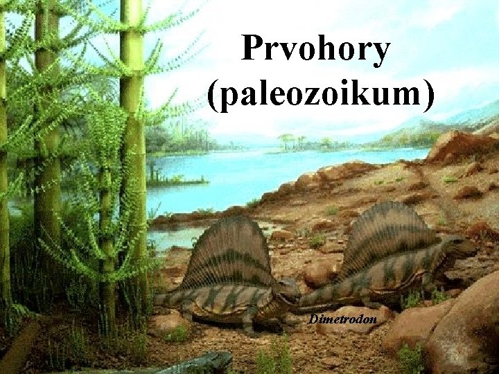 Prvohory (paleozoikum) Dimetrodon Prvohory (paleozoikum) Dimetrodon