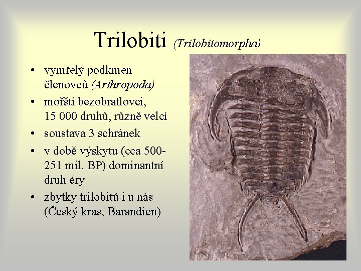 Trilobiti (Trilobitomorpha) • vymřelý podkmen členovců (Arthropoda) • mořští bezobratlovci, 15 000 druhů, různě Trilobiti (Trilobitomorpha) • vymřelý podkmen členovců (Arthropoda) • mořští bezobratlovci, 15 000 druhů, různě