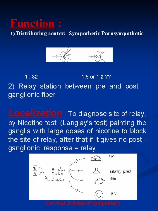 Function : 1) Distributing center: Sympathetic Parasympathetic 1 : 32 1: 9 or 1: