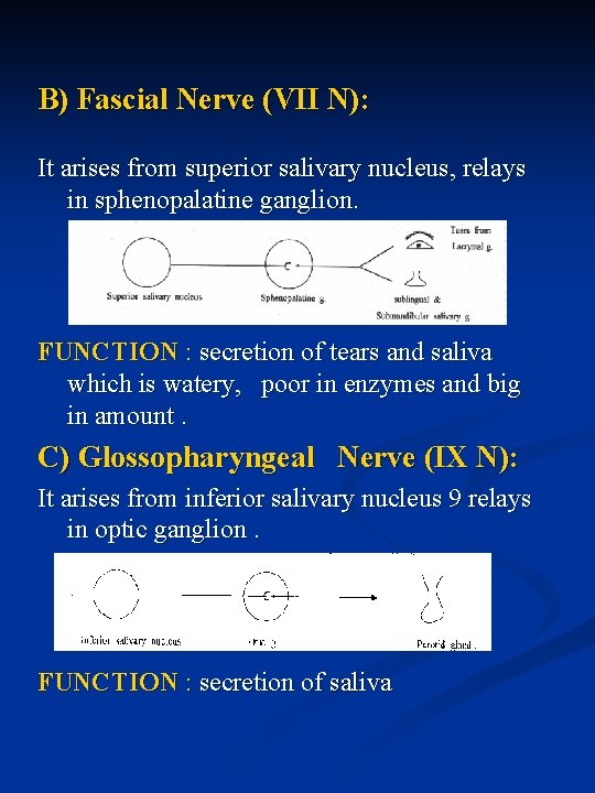 B) Fascial Nerve (VII N): It arises from superior salivary nucleus, relays in sphenopalatine
