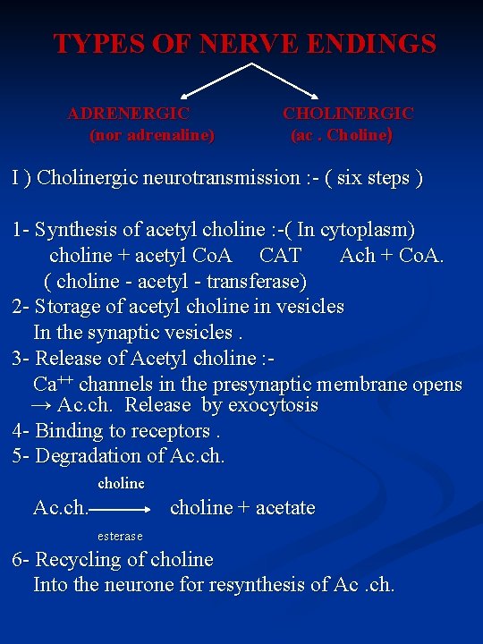 TYPES OF NERVE ENDINGS ADRENERGIC (nor adrenaline) CHOLINERGIC (ac. Choline) I ) Cholinergic neurotransmission