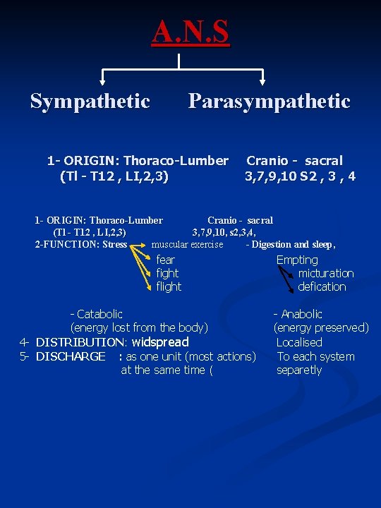 A. N. S Sympathetic Parasympathetic 1 - ORIGIN: Thoraco-Lumber (Tl - T 12 ,