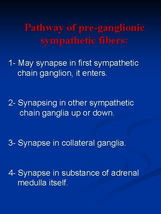 Pathway of pre-ganglionic sympathetic fibers: 1 - May synapse in first sympathetic chain ganglion,