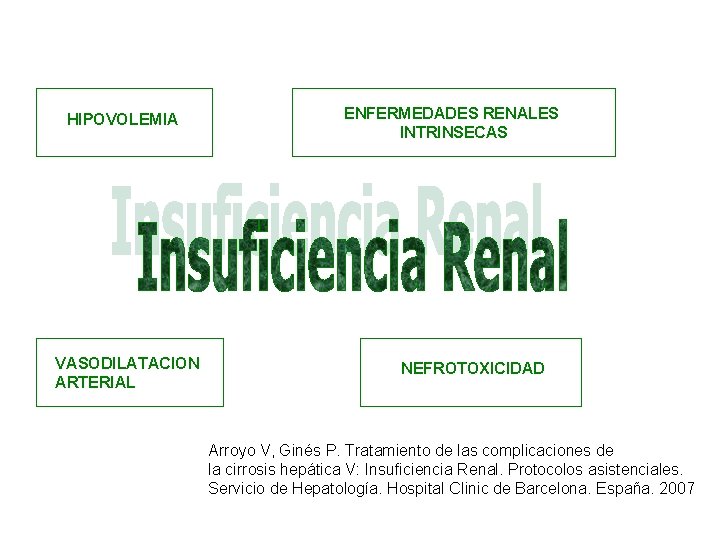 HIPOVOLEMIA VASODILATACION ARTERIAL ENFERMEDADES RENALES INTRINSECAS NEFROTOXICIDAD Arroyo V, Ginés P. Tratamiento de las