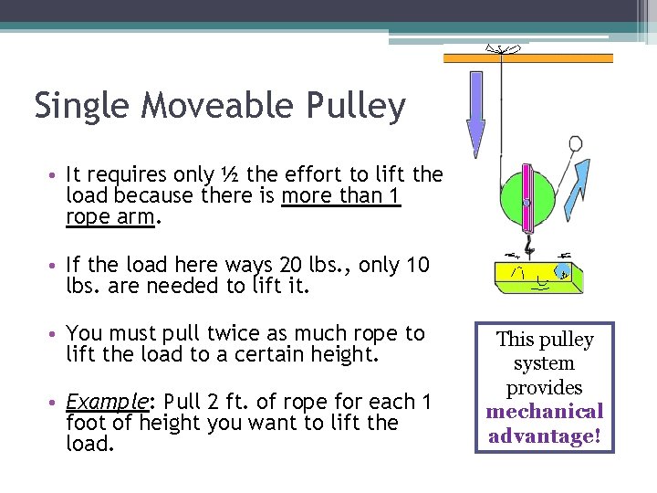Single Moveable Pulley • It requires only ½ the effort to lift the load