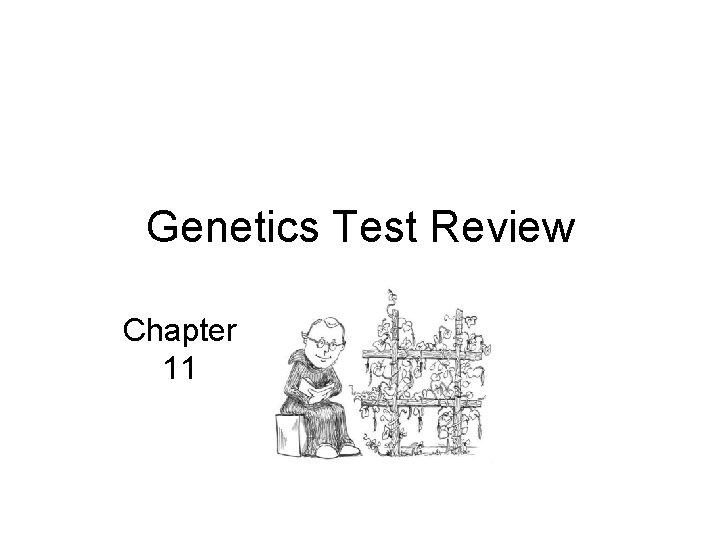 Genetics Test Review Chapter 11 