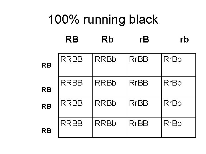 100% running black RB RB RB Rb r. B rb RRBB RRBb Rr. BB