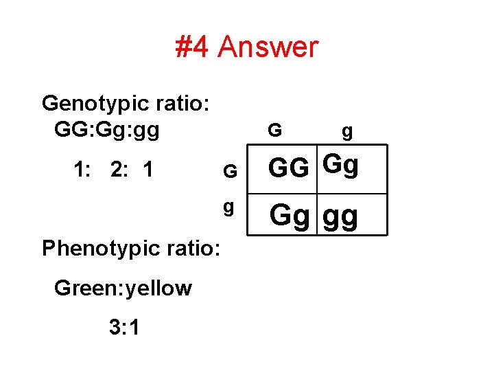 #4 Answer Genotypic ratio: GG: Gg: gg 1: 2: 1 Phenotypic ratio: Green: yellow