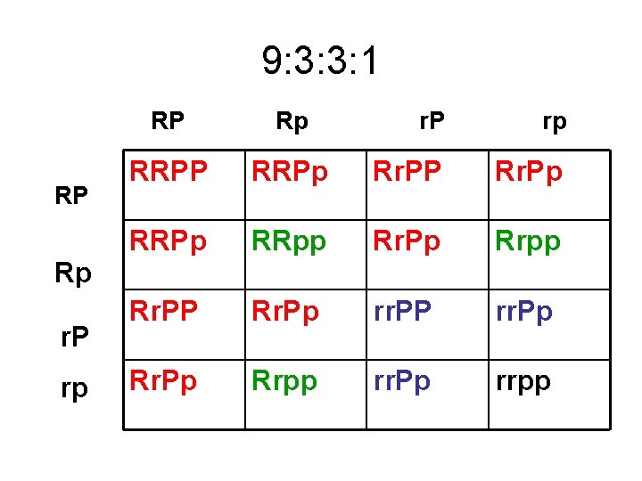 9: 3: 3: 1 RP Rp r. P rp RRPP RRPp Rr. PP Rr.