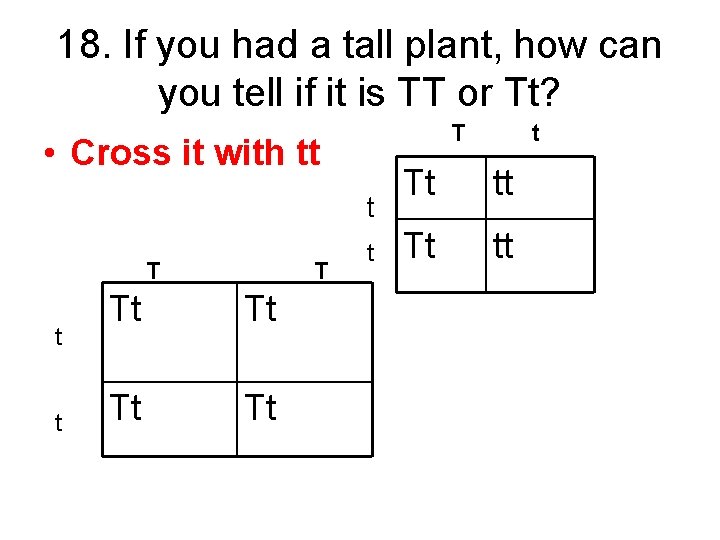 18. If you had a tall plant, how can you tell if it is