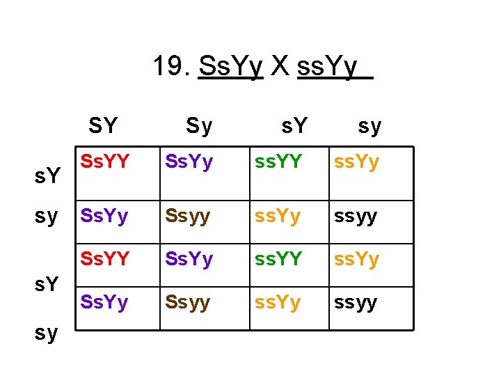 19. Ss. Yy X ss. Yy SY Sy s. Y sy Ss. YY Ss.