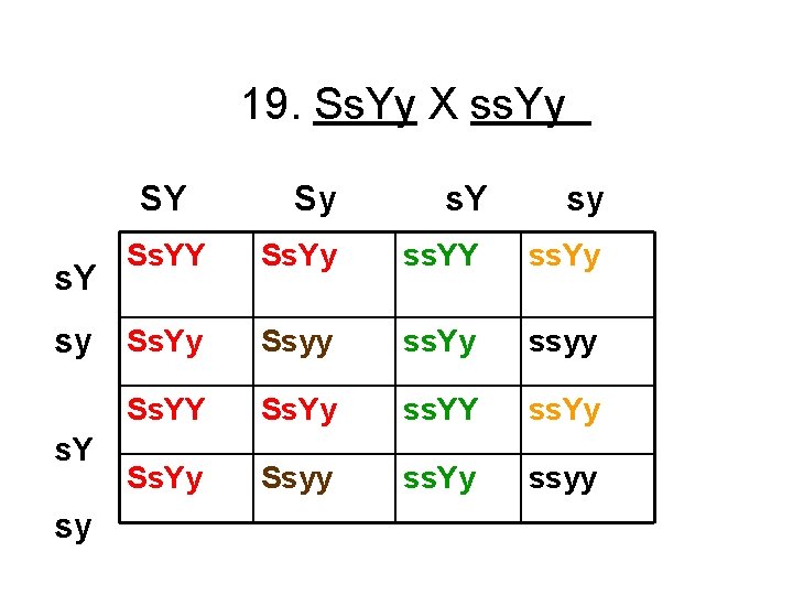 19. Ss. Yy X ss. Yy SY Sy s. Y sy Ss. YY Ss.