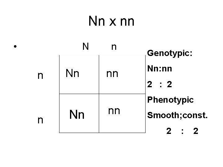 Nn x nn • N n n Nn n nn Genotypic: Nn: nn 2