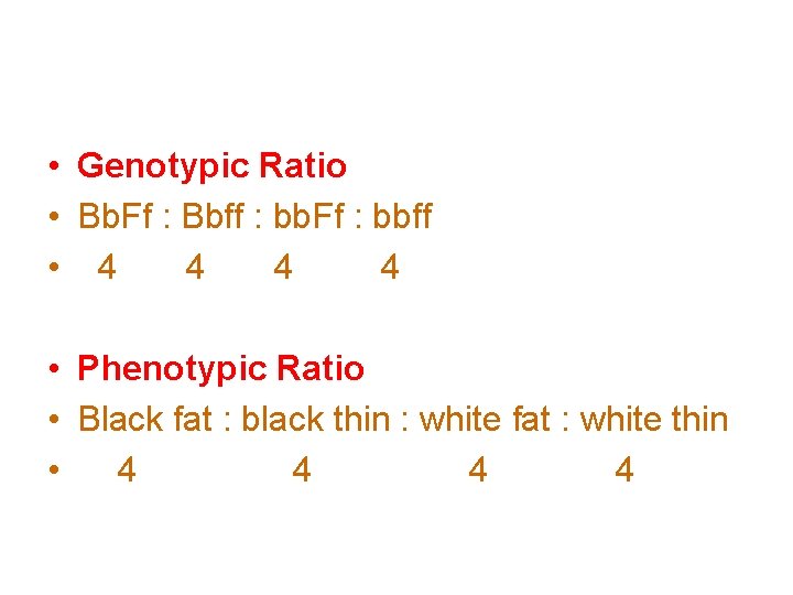  • Genotypic Ratio • Bb. Ff : Bbff : bb. Ff : bbff