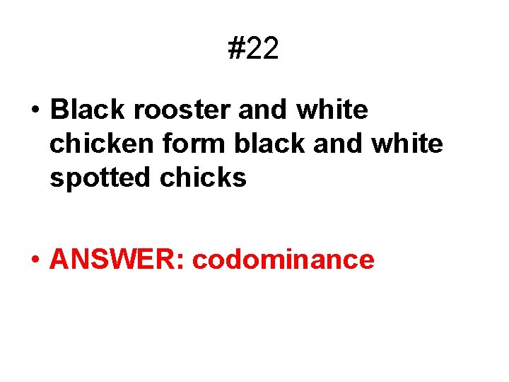 #22 • Black rooster and white chicken form black and white spotted chicks •