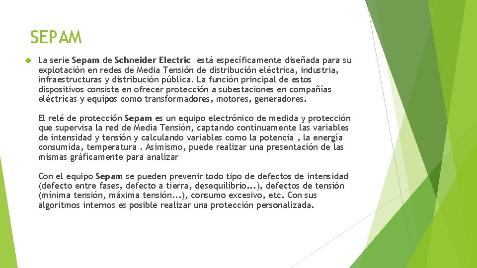 SEPAM La serie Sepam de Schneider Electric está específicamente diseñada para su explotación en