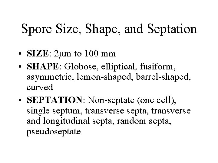 Spore Size, Shape, and Septation • SIZE: 2 mm to 100 mm • SHAPE: