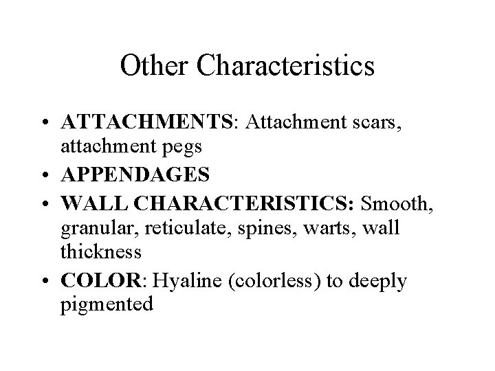 Other Characteristics • ATTACHMENTS: Attachment scars, attachment pegs • APPENDAGES • WALL CHARACTERISTICS: Smooth,