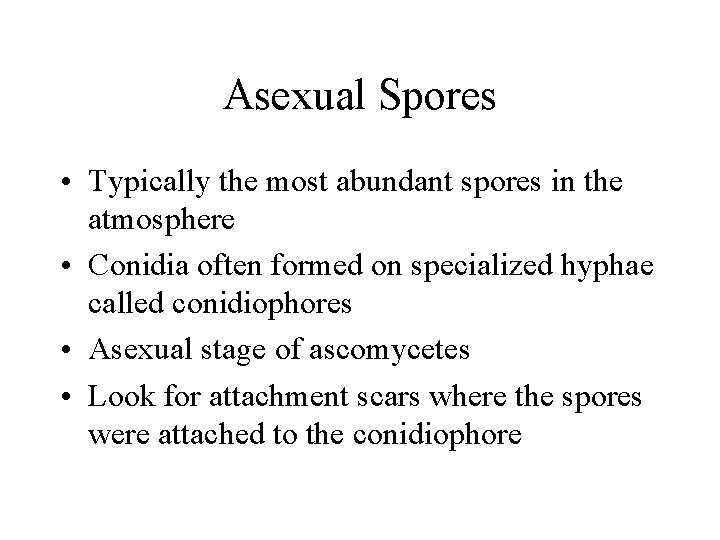 Asexual Spores • Typically the most abundant spores in the atmosphere • Conidia often