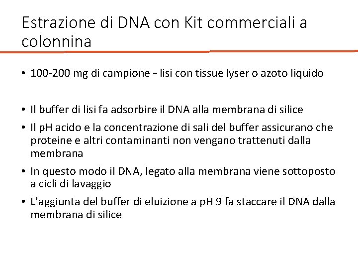 Estrazione di DNA con Kit commerciali a colonnina • 100 -200 mg di campione