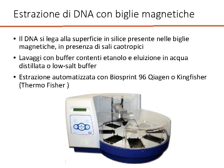 Estrazione di DNA con biglie magnetiche • Il DNA si lega alla superficie in