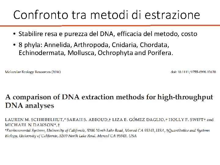 Confronto tra metodi di estrazione • Stabilire resa e purezza del DNA, efficacia del