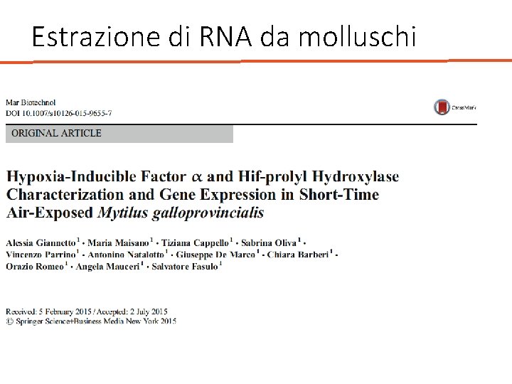 Estrazione di RNA da molluschi 