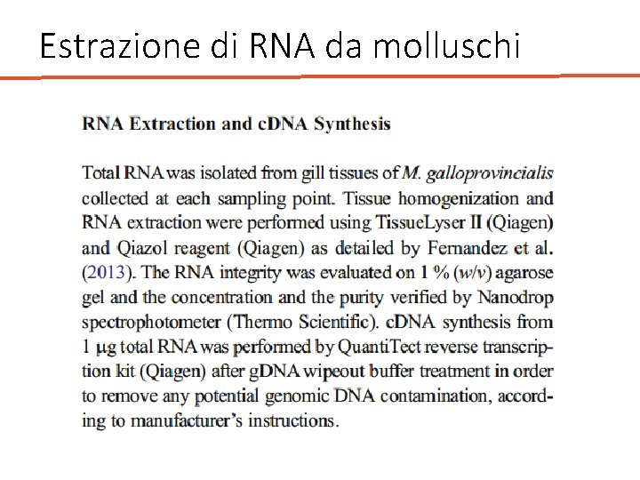 Estrazione di RNA da molluschi 