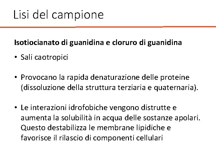 Lisi del campione Isotiocianato di guanidina e cloruro di guanidina • Sali caotropici •