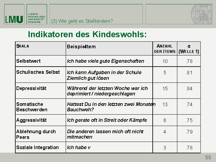 (3) Wie geht es Stiefkindern? Indikatoren des Kindeswohls: SK AL A Beispiel -Item ANZ