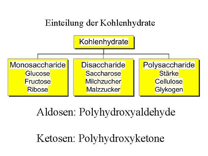 Einteilung der Kohlenhydrate Aldosen: Polyhydroxyaldehyde Ketosen: Polyhydroxyketone 