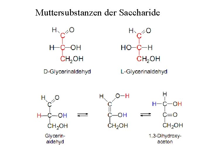 Muttersubstanzen der Saccharide 
