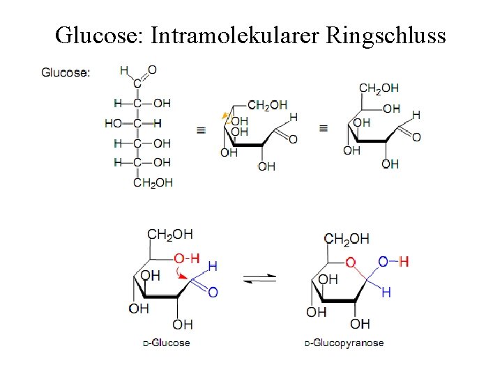 Glucose: Intramolekularer Ringschluss 