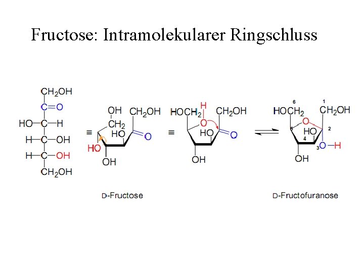 Fructose: Intramolekularer Ringschluss 