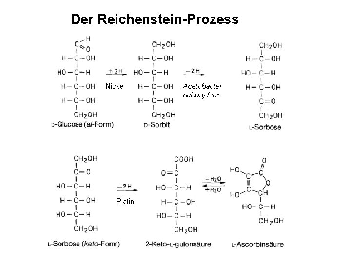 Der Reichenstein-Prozess 