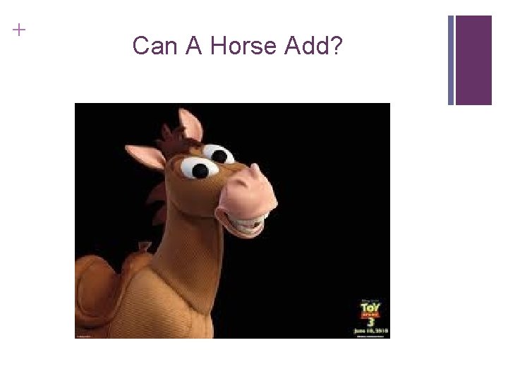 + Can A Horse Add? 