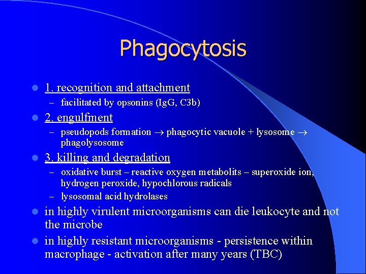Phagocytosis l 1. recognition and attachment – facilitated by opsonins (Ig. G, C 3