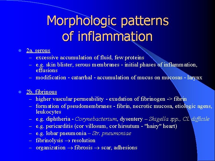 Morphologic patterns of inflammation l 2 a. serous – excessive accumulation of fluid, few