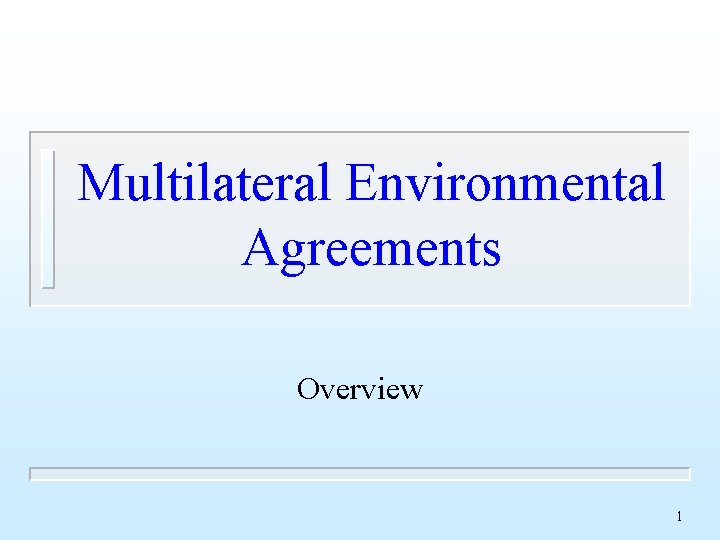 Multilateral Environmental Agreements Overview 1 