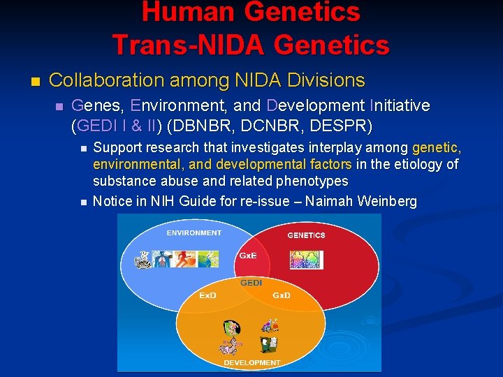 Human Genetics Trans-NIDA Genetics n Collaboration among NIDA Divisions n Genes, Environment, and Development